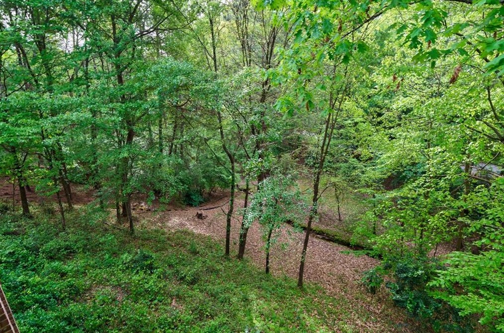 4617 Woodland Brook Dr, Atlanta GA  30339-5368 exterior