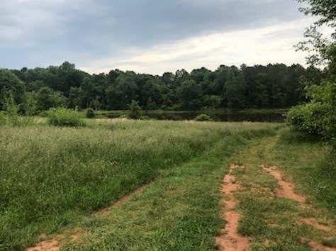 226 Inman Dr, Decatur GA  30030-3833 exterior