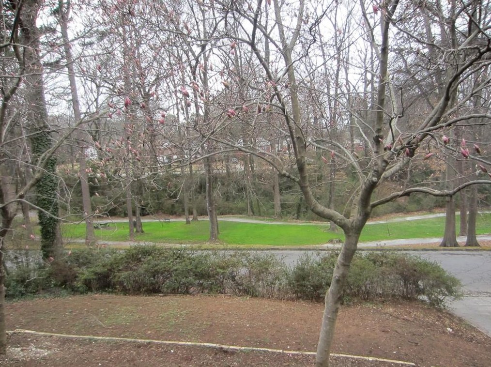 3160 Lake Ave, Atlanta, GA 30354