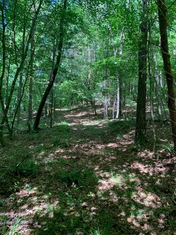 588 Lick Creek Rd, Ranger, GA 30734-9504