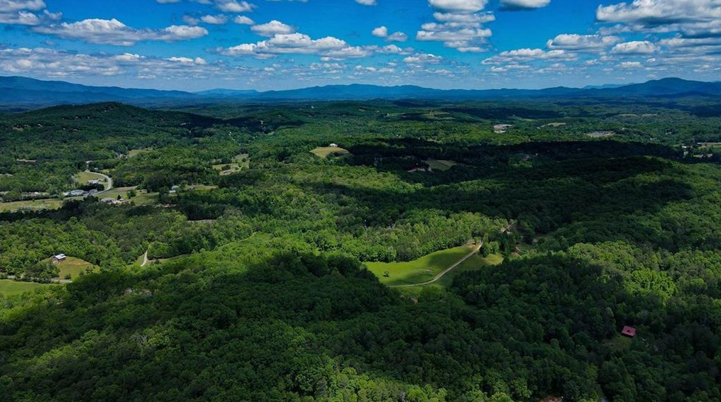 472 Timber Ridge Rd, Blue Ridge, GA 30513-0066