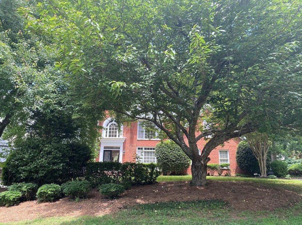 5680 Commons Ln, Alpharetta GA  30005-4686 exterior