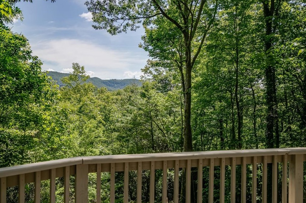 715 Antioch Church Rd, Ellijay, GA 30536