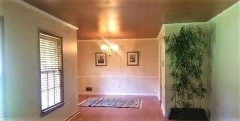 3038 Crabapple Dr, Decatur GA  30034-4517 exterior