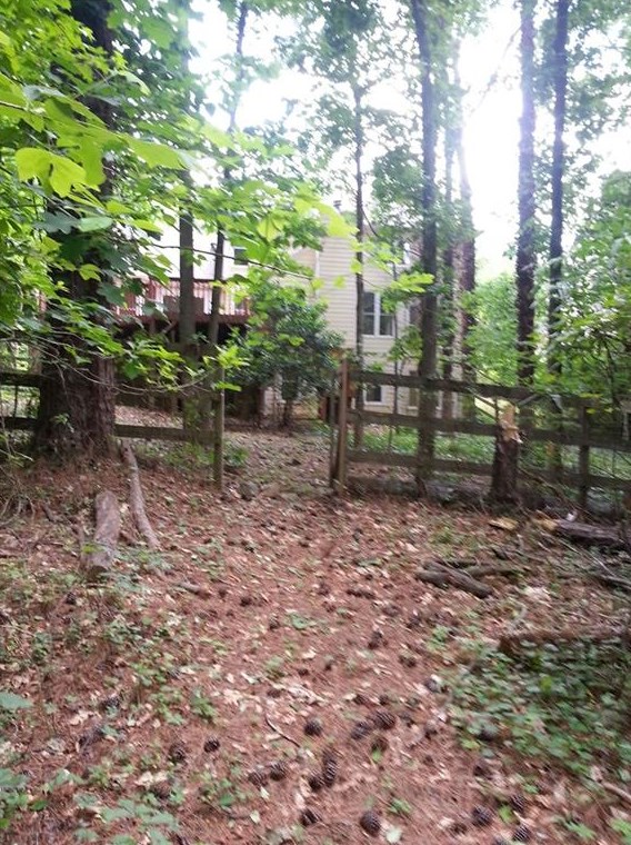 6685 Maid Marion Close, Alpharetta GA  30005-6412 exterior