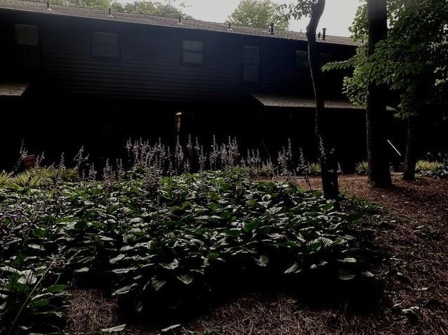 639 Riverside Dr, Ellijay, GA 30540