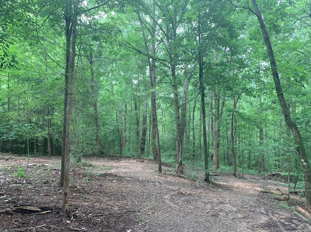 5255 Mt Vernon Rd, Gainesville GA 30506-2762 exterior