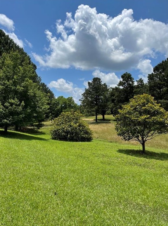 2183 Lees Chapel Rd, Cedartown, GA 30125
