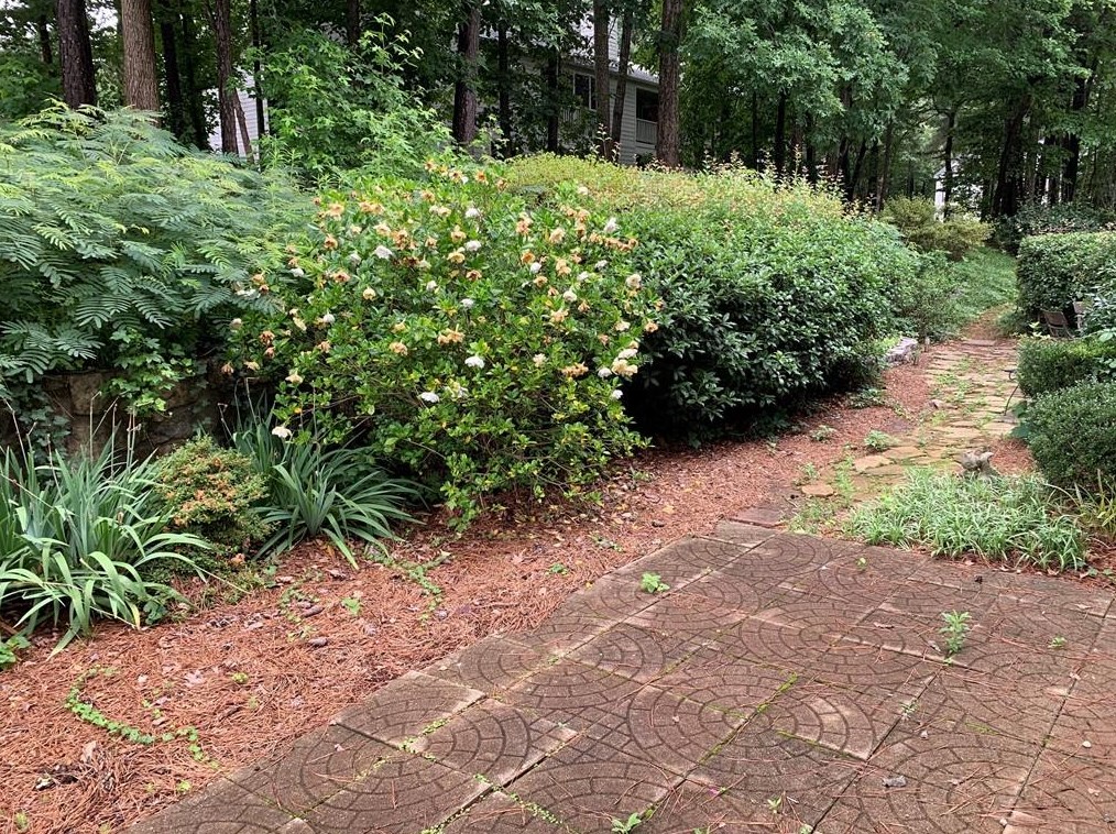 81 Fair Haven Way, Smyrna GA  30080-8090 exterior