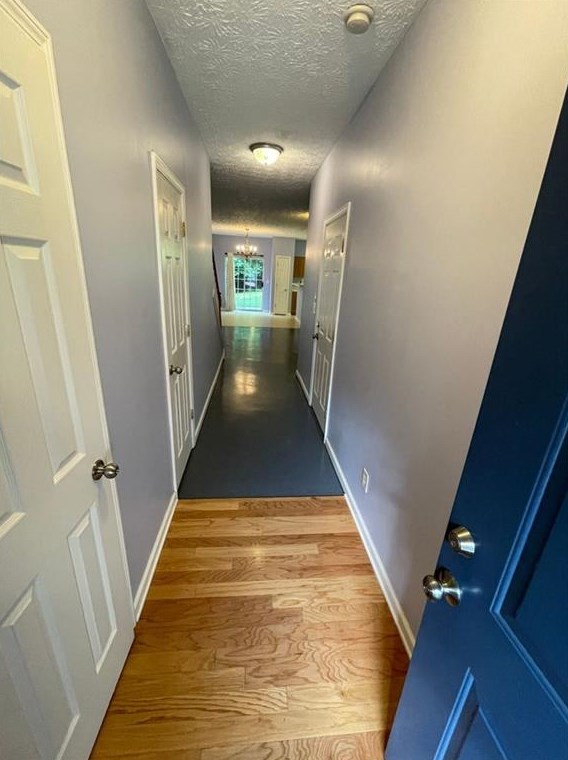 4964 Vireo Dr, Flowery Branch, GA 30542-3397