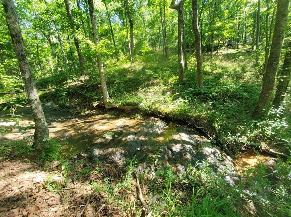 163 Sequoia Trce, Cleveland, GA 30528