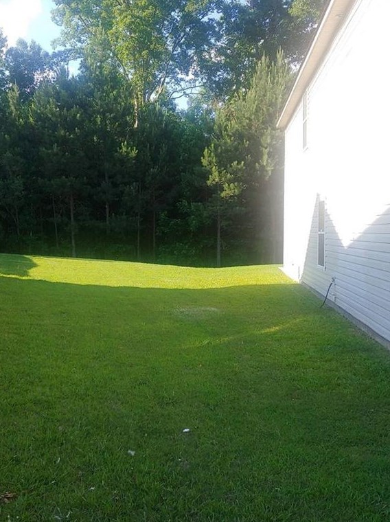 1123 Watercourse Way, Hampton, GA 30228