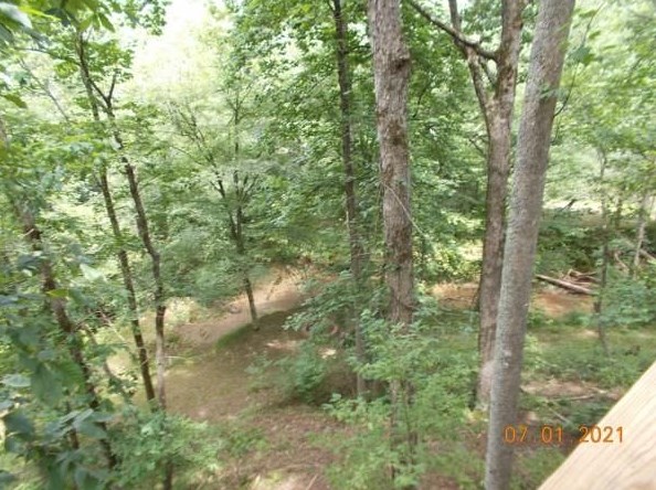 199 Portwood, Cleveland, GA 30528