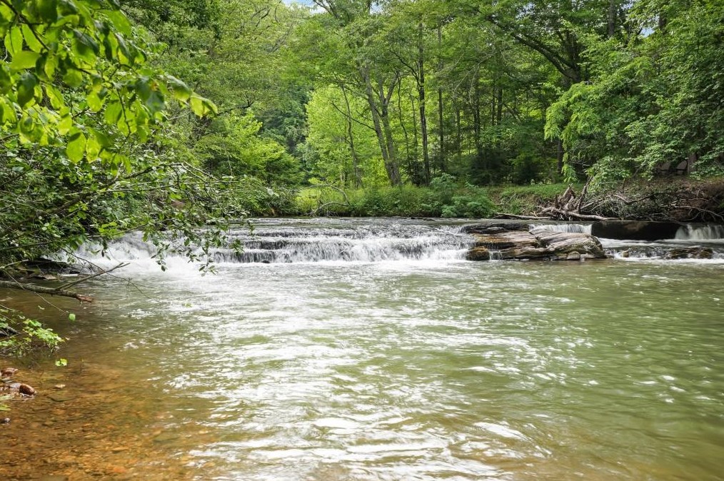 341 Old Burton Rd, Clarkesville, GA 30523