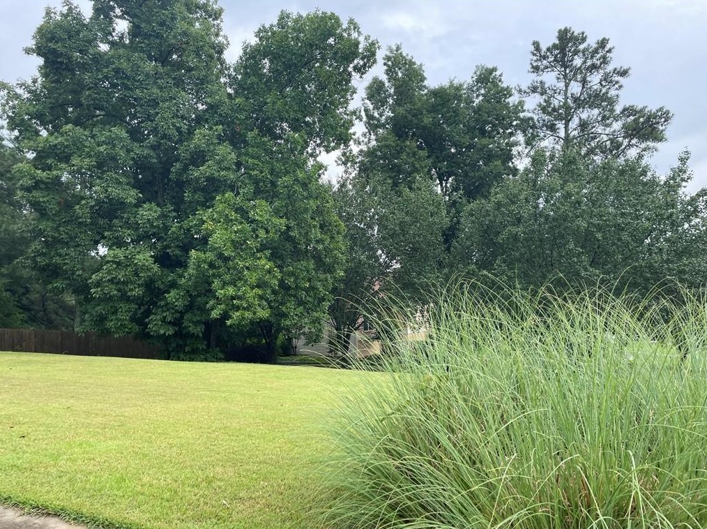 151 Orchard Way, Calhoun, GA 30701-4560