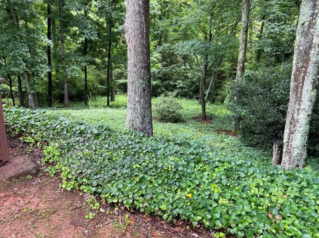1360 Primrose Dr, Roswell GA  30076-4221 exterior