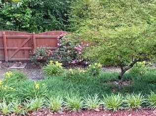 412 Fortune Way, Dallas GA  30157-7493 exterior