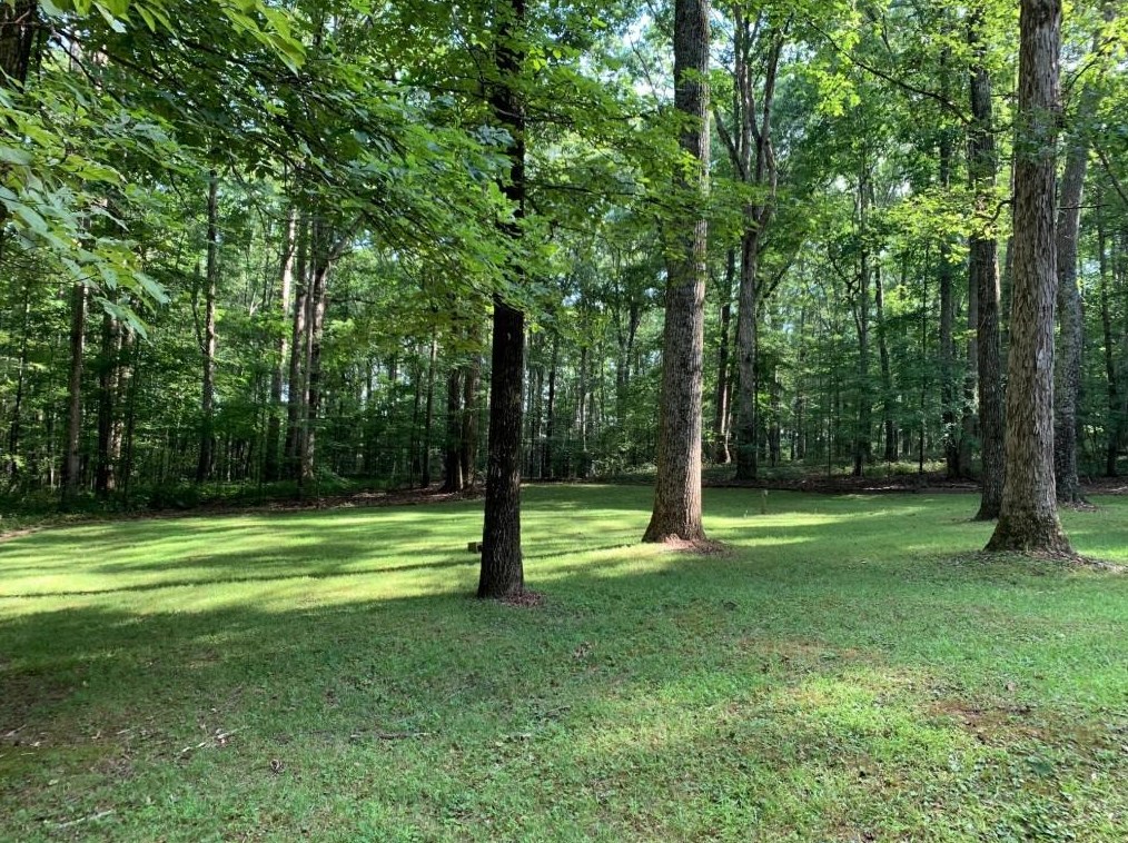 29 Gum Creek Rd, Oxford, GA 30054
