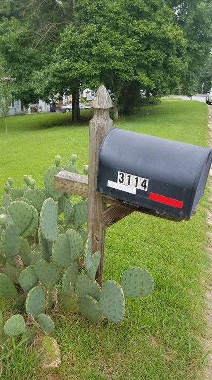 3114 Chippewa Dr, Rex, GA 30273