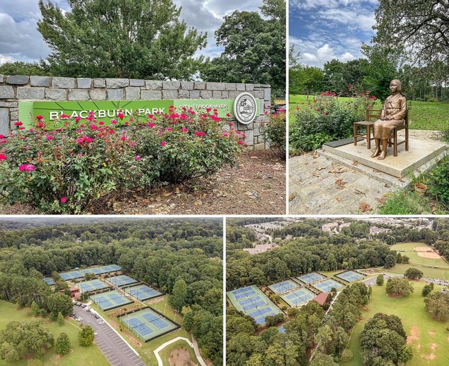 3455 Waddeston Way, Atlanta GA  30319-2544 exterior