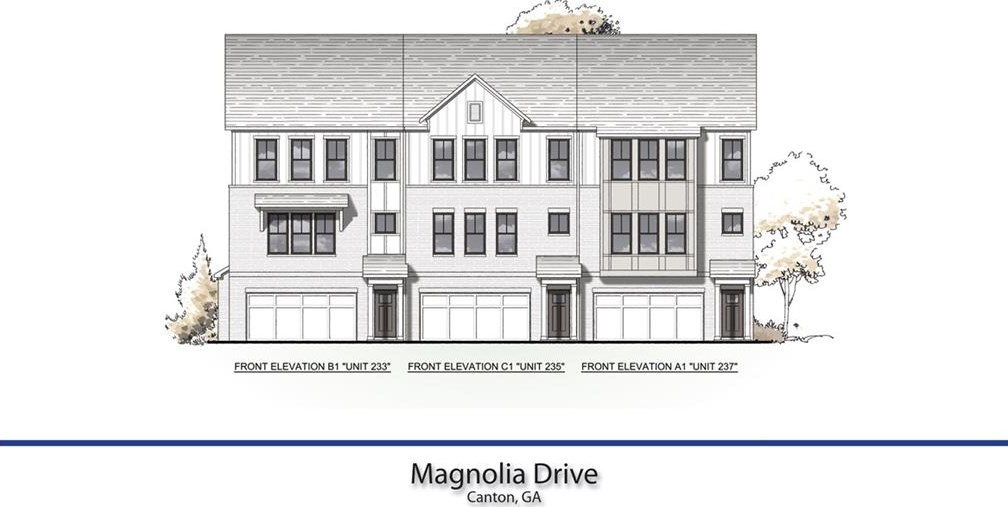 229 W Marietta St, Holly Springs, GA 30114