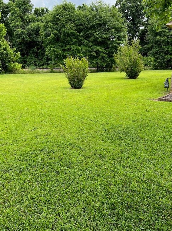 268 Fairmount Ave E, Cedartown, GA 30125