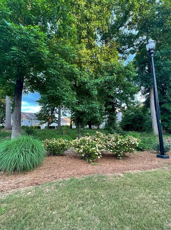 2784 Snapfinger Mnr, Decatur GA  30035-4154 exterior