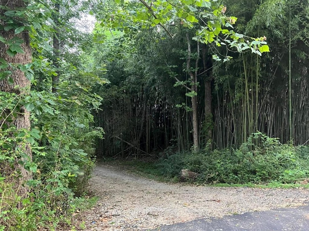 3559 Sequoia Rd, Gainesville, GA 30506