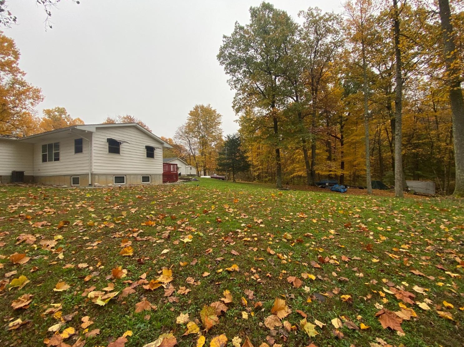17066 Mcguire Rdg Rd, Buena Vista IN  47024-9731 exterior