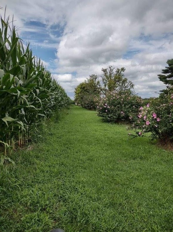 7952 State Rd 25, Rochester IN 46975-7517 exterior