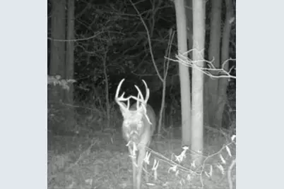 7100 S 225 West Street, Versailles, IN 47042 - Photo 12