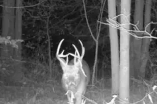 7100 S 225 West St, Versailles, IN 47042 - Photo 12