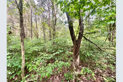 7100 S 225 West Street, Versailles, IN 47042 - Photo 20