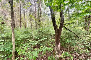 7100 S 225 West St, Versailles, IN 47042 - Photo 20