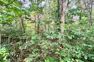 7100 S 225 West St, Versailles, IN 47042 - Photo 22