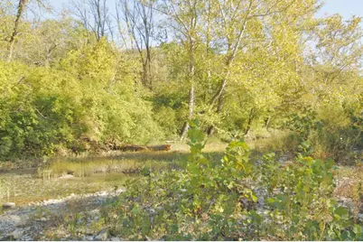 7717 N Hogan Road, Aurora, IN 47001 - Photo 28