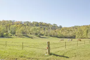 7717 N Hogan Rd, Aurora, IN 47001 - Photo 20