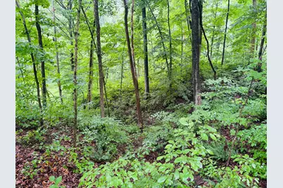 0 Laurel Road, Laurel, IN 47024 - Photo 8
