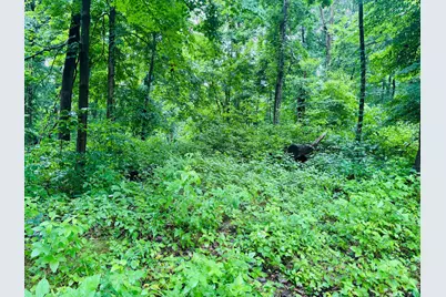 0 Laurel Road, Laurel, IN 47024 - Photo 14