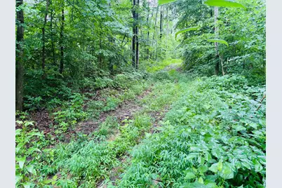 0 Laurel Road, Laurel, IN 47024 - Photo 10