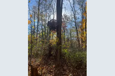 6661 Arnett Road, Vevay, IN 47043 - Photo 24