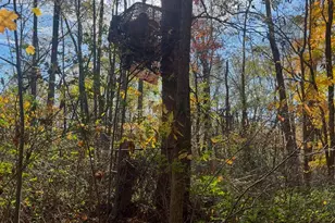 6661 Arnett Rd, Vevay, IN 47043 - Photo 24