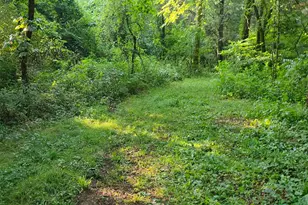 9758 Scotts Ridge Rd, Florence, IN 47020 - Photo 12