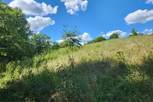 7492 Brooks Rd, Vevay, IN 47043 - Photo 50