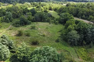 7492 Brooks Rd, Vevay, IN 47043 - Photo 60