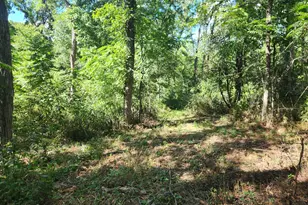 7492 Brooks Rd, Vevay, IN 47043 - Photo 48