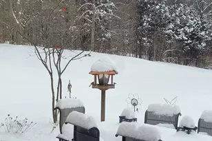 12656 Asche Rd, Sunman, IN 47041 - Photo 78