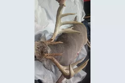 6546 S State Road 121, Connersville, IN 47331 - Photo 10