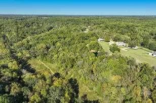 9463 Stoops Rd, Dillsboro, IN 47018 - Photo 74