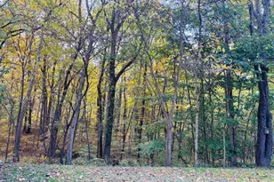 111 W Everton Rd, Connersville, IN 47331 - Photo 48